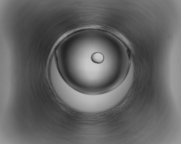 X0000113761332200909301102