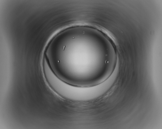 X0000113761334200909301102
