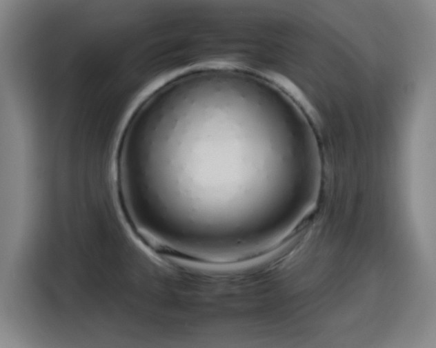 X0000113761335200909301102