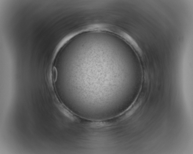 X0000113761336200909301102