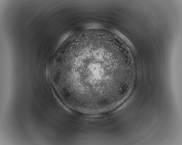 X0000113761337200909301102