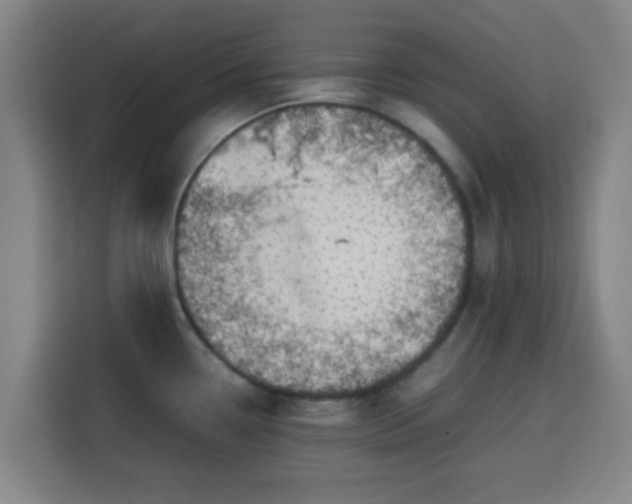 X0000113761338200909301102
