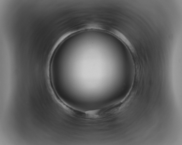 X0000113761339200909301102