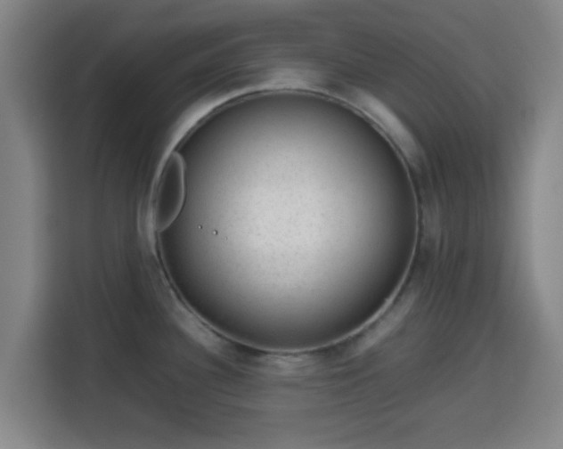 X0000113761340200909301102