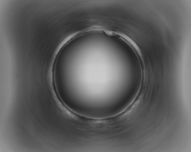 X0000113761341200909301102