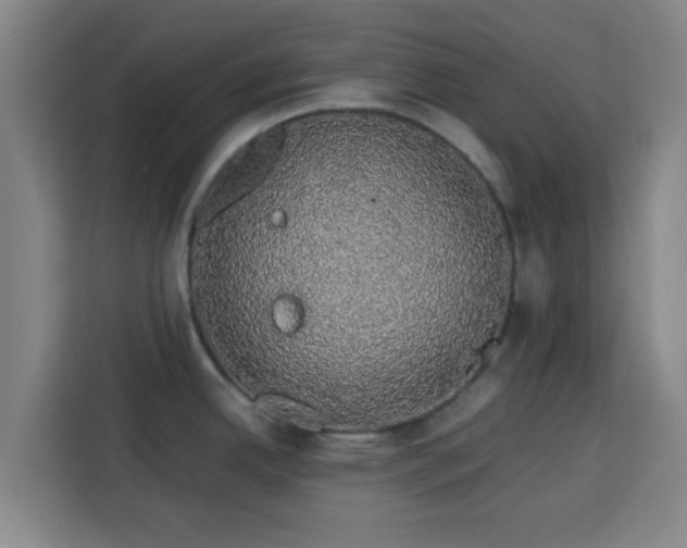 X0000113761342200909301102