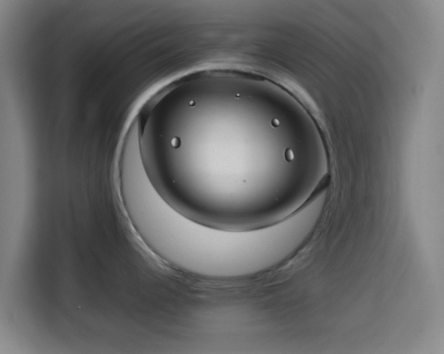 X0000113761344200909301102
