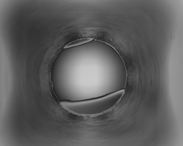 X0000113761345200909301101