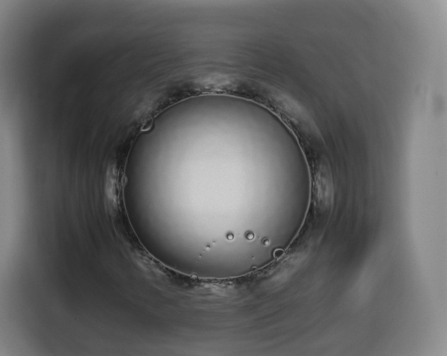 X0000113761346200909301101
