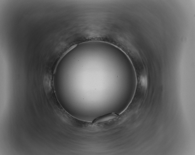 X0000113761348200909301101