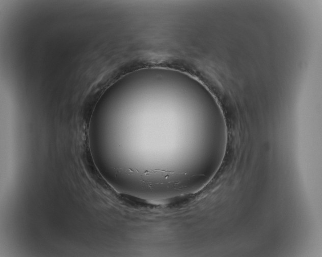 X0000113761349200909301101