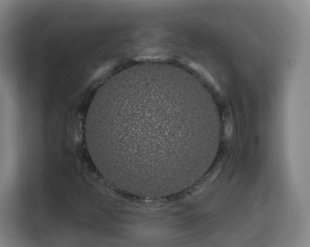 X0000113761350200909301101