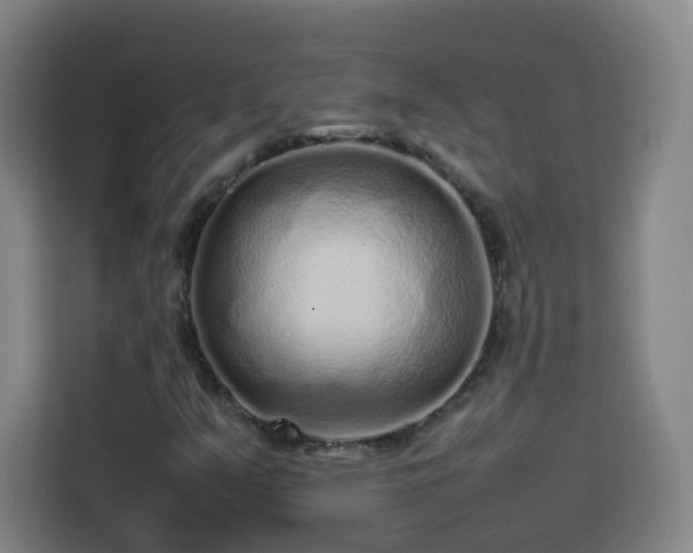 X0000113761351200909301101