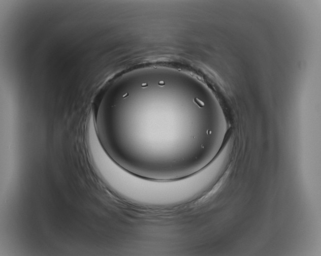 X0000113761353200909301101