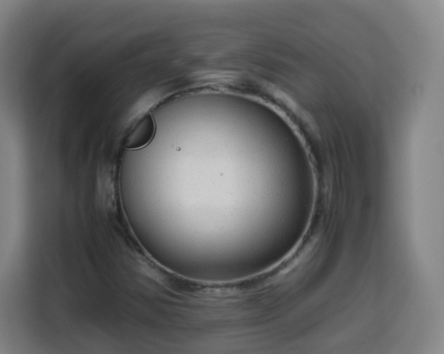 X0000113761354200909301101
