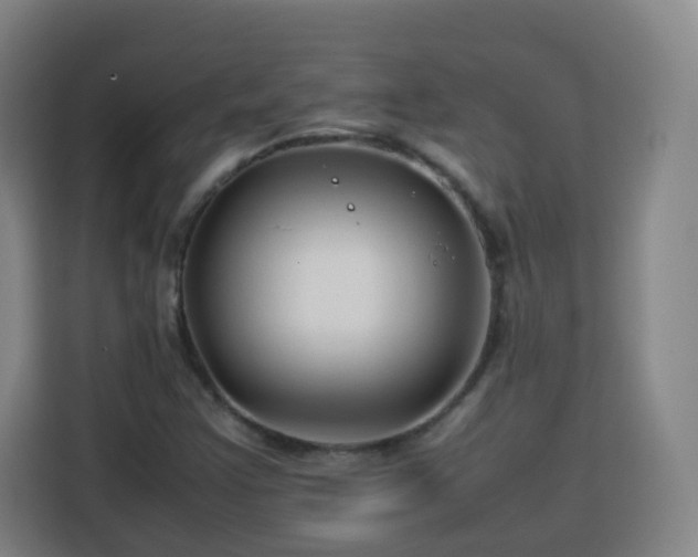 X0000113761355200909301101