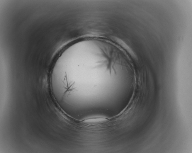 X0000113761356200909301101