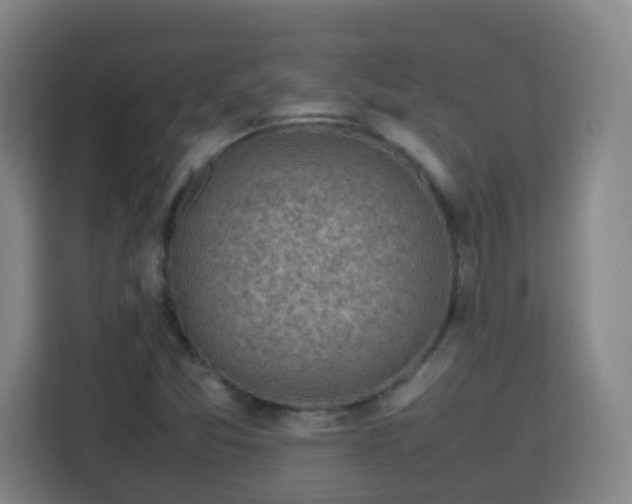 X0000113761357200909301101