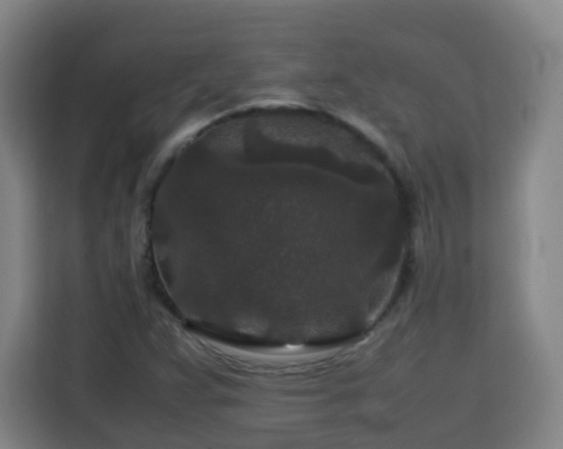 X0000113761359200909301101