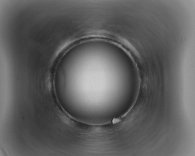 X0000113761360200909301101