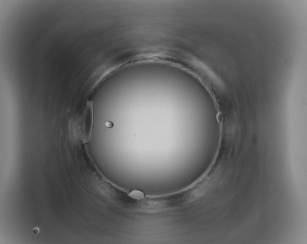 X0000113761361200909301101