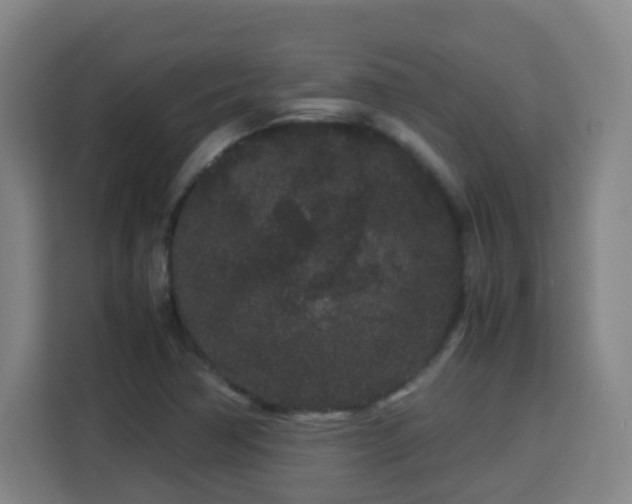 X0000113761362200909301101