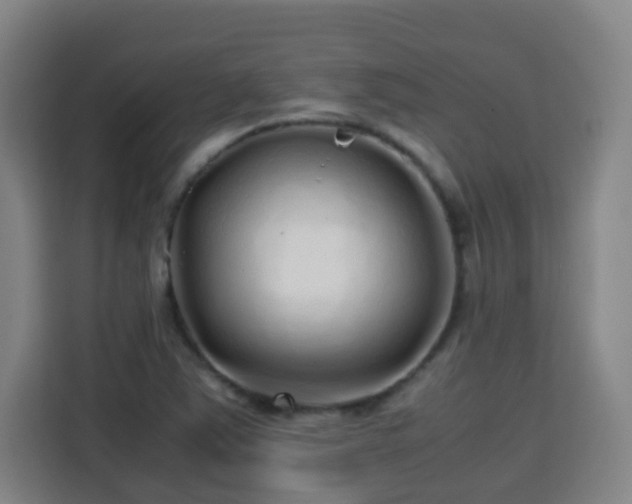 X0000113761363200909301101