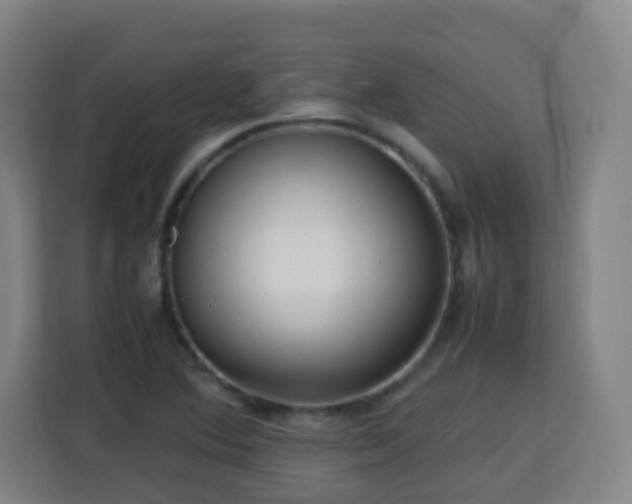 X0000113761364200909301101