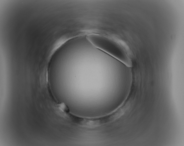 X0000113761365200909301101