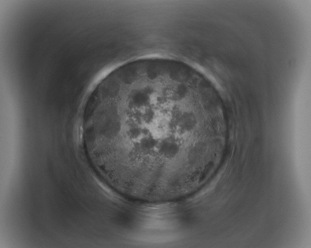 X0000113761367200909301101