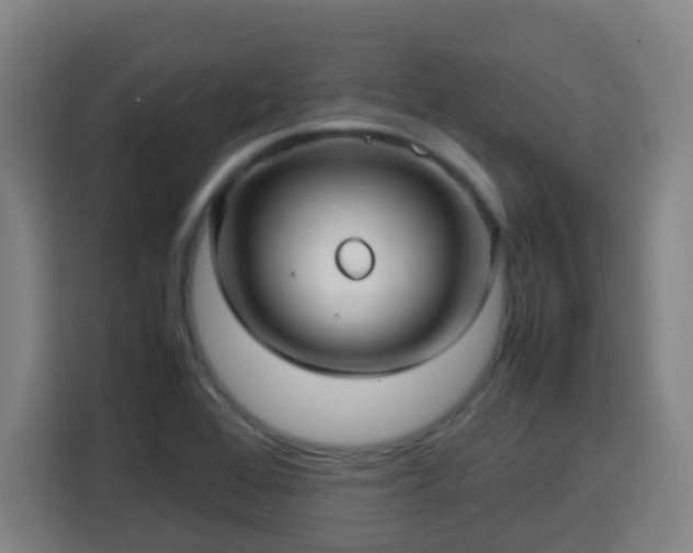 X0000113761368200909301101