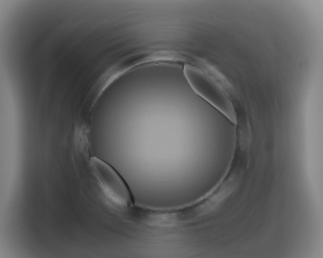 X0000113761369200909301101