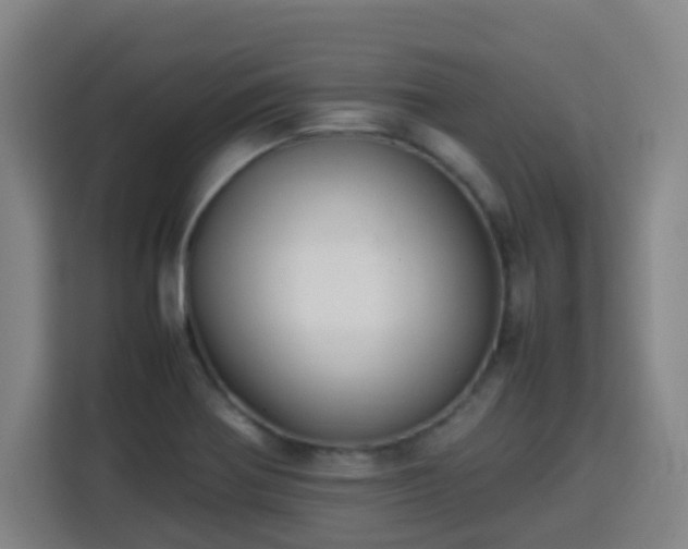 X0000113761370200909301101