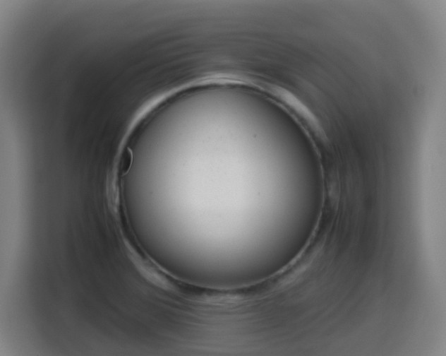 X0000113761372200909301101