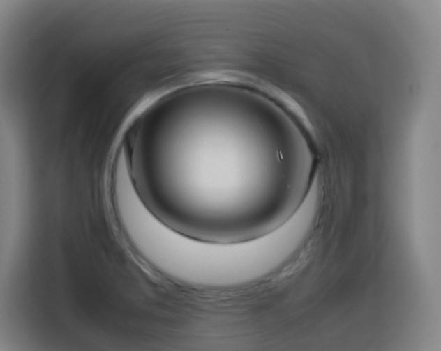 X0000113761373200909301101