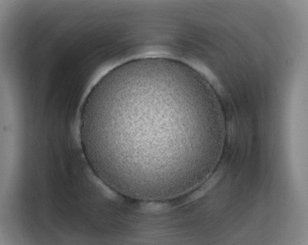 X0000113761374200909301101