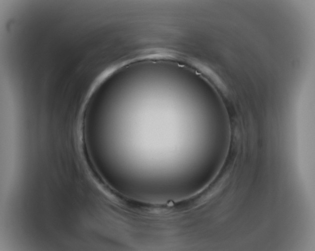 X0000113761375200909301101