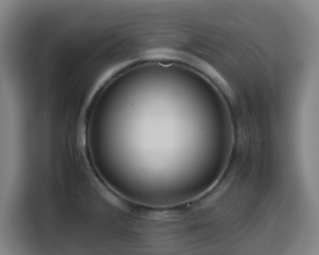 X0000113761376200909301101