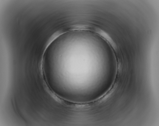 X0000113761378200909301101