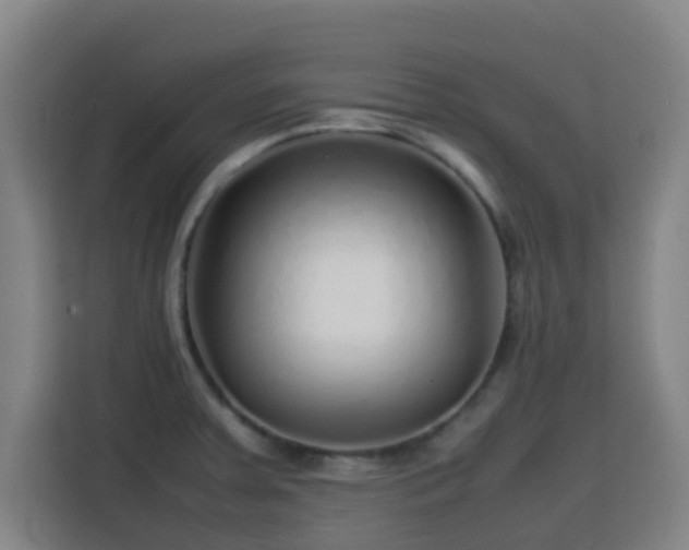 X0000113761379200909301101
