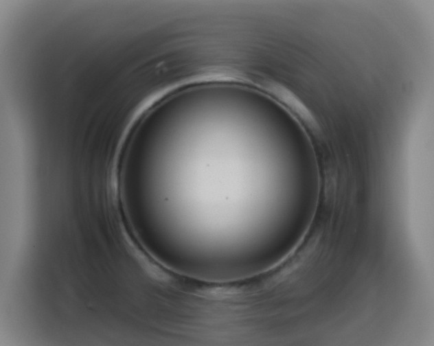 X0000113761380200909301101