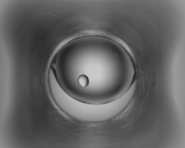 X0000113761381200909301101