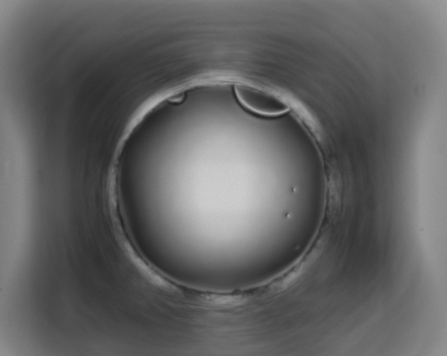X0000113761382200909301101