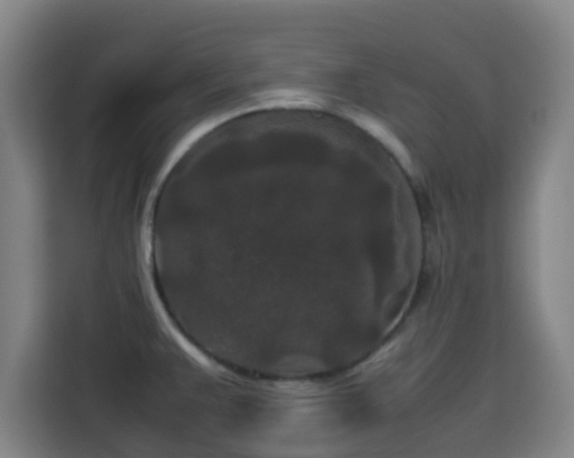 X0000113761383200909301101