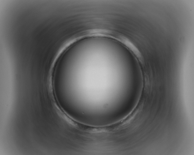 X0000113761384200909301101
