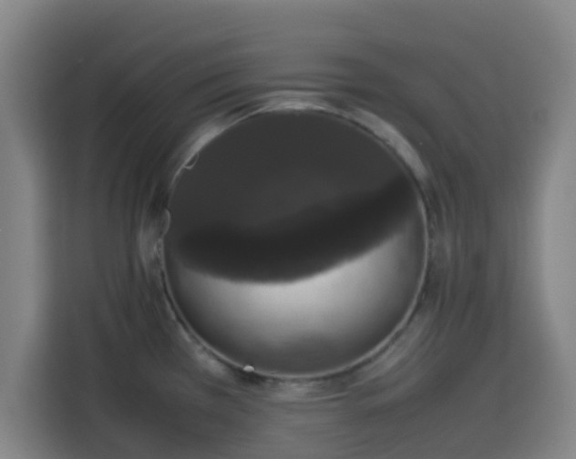 X0000113761385200909301101