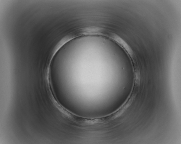 X0000113761386200909301101