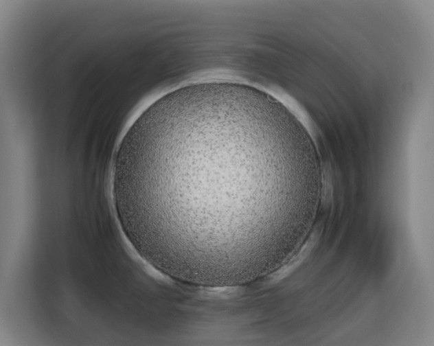 X0000113761390200909301100