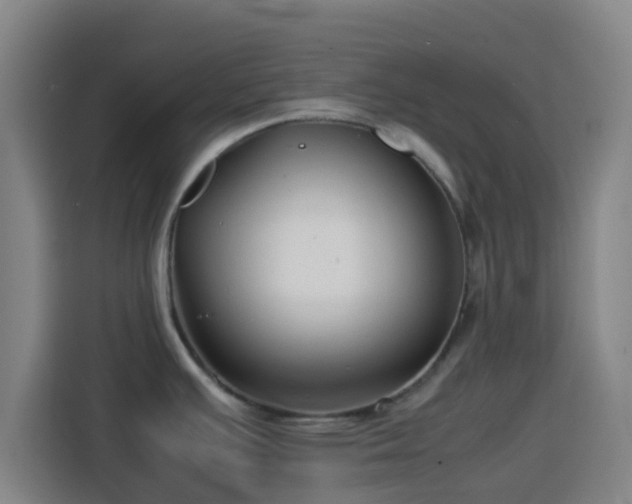 X0000113761391200909301100
