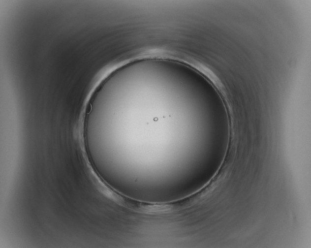 X0000113761392200909301100